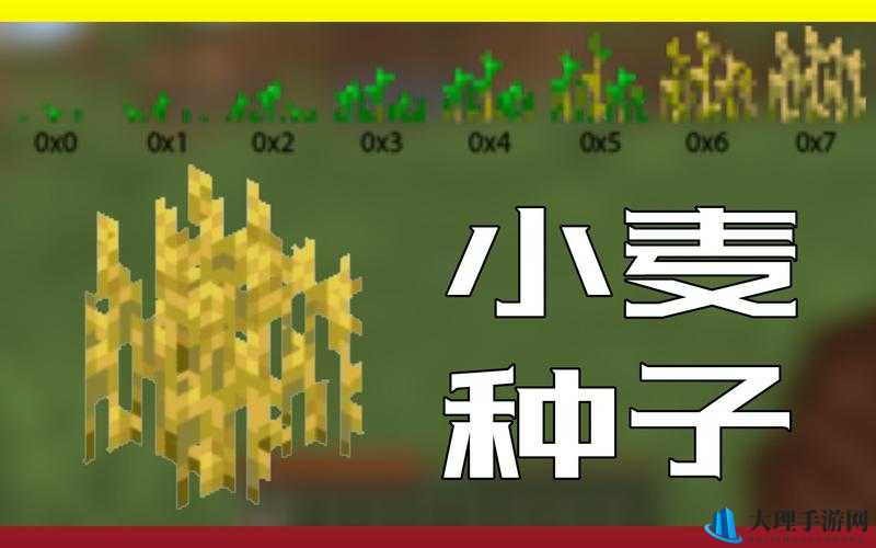 我的世界小麦种子多种用途及种植攻略